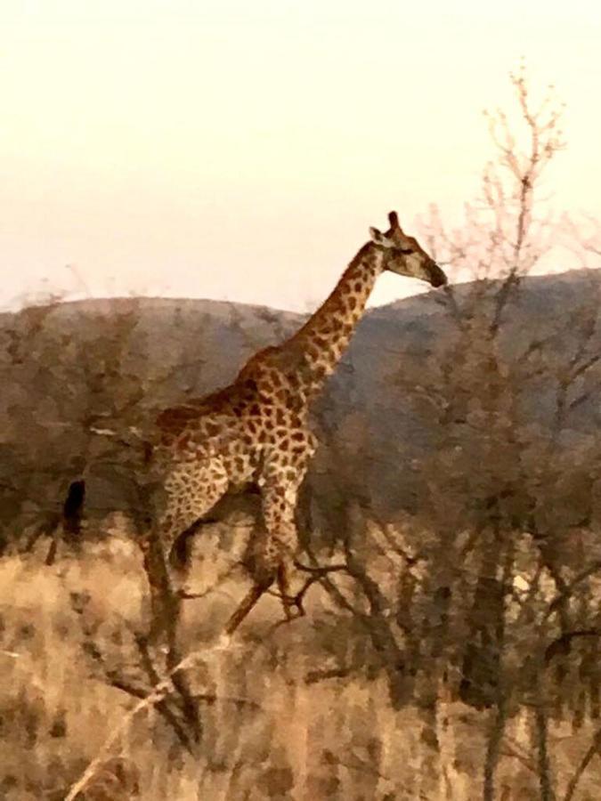 Kuwisa Lodge Bela-Bela Eksteriør billede